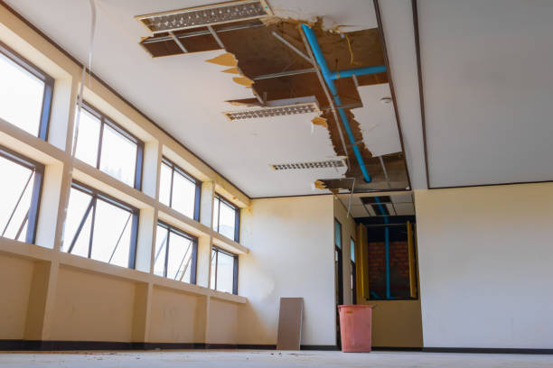 Best Carpet water damage restoration  in Lockport, NY