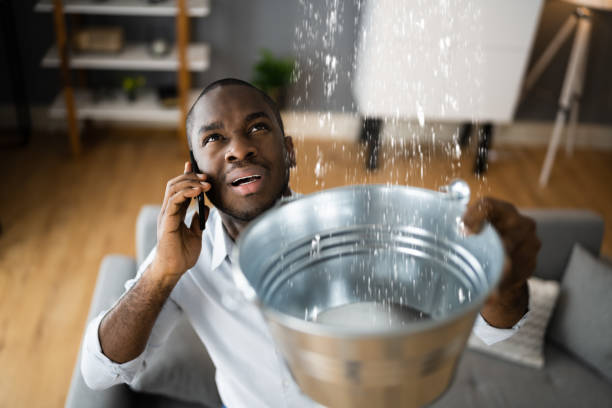 Best Basement water damage restoration  in Lockport, NY