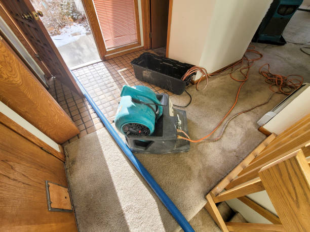 Best Water damage restoration services  in Lockport, NY