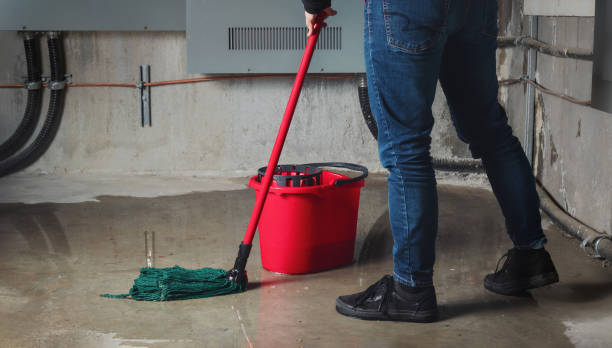 Best 24/7 water damage repair  in Lockport, NY