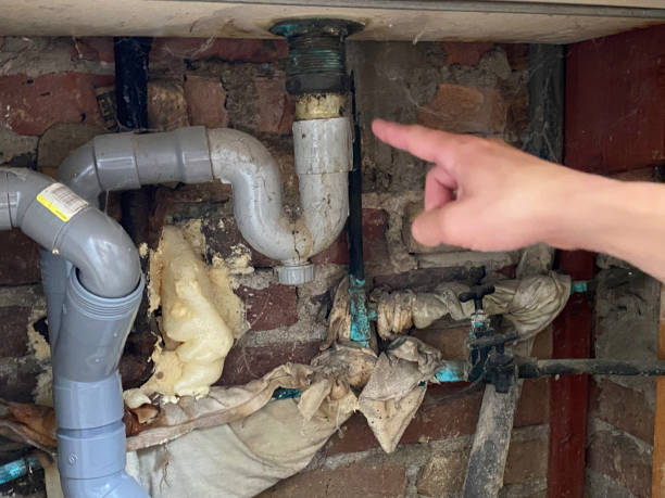 Best Professional water damage repair  in Lockport, NY