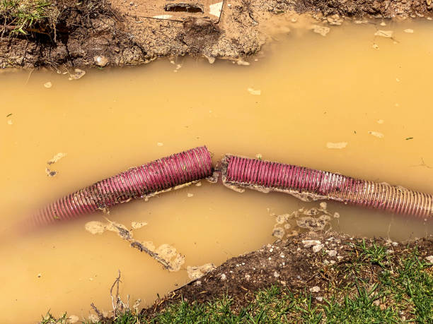 Best Basement water damage restoration  in Lockport, NY