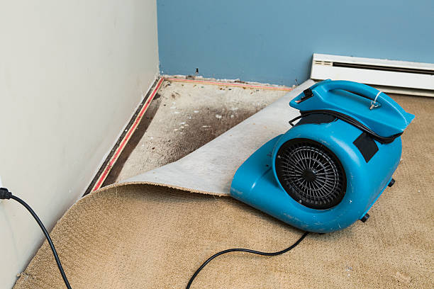 Best Water damage restoration near me  in Lockport, NY